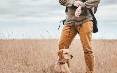 Pet Tracker vs. Pet Finder: What’s the Difference?
